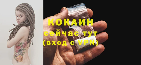 стафф Алексин