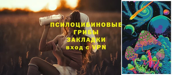 винт Алексеевка