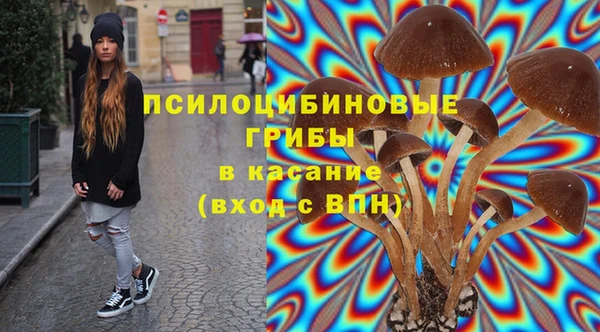 ПСИЛОЦИБИНОВЫЕ ГРИБЫ Арсеньев